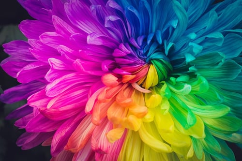 iStock-520700958_web.jpg iStock-520700958_web.jpg